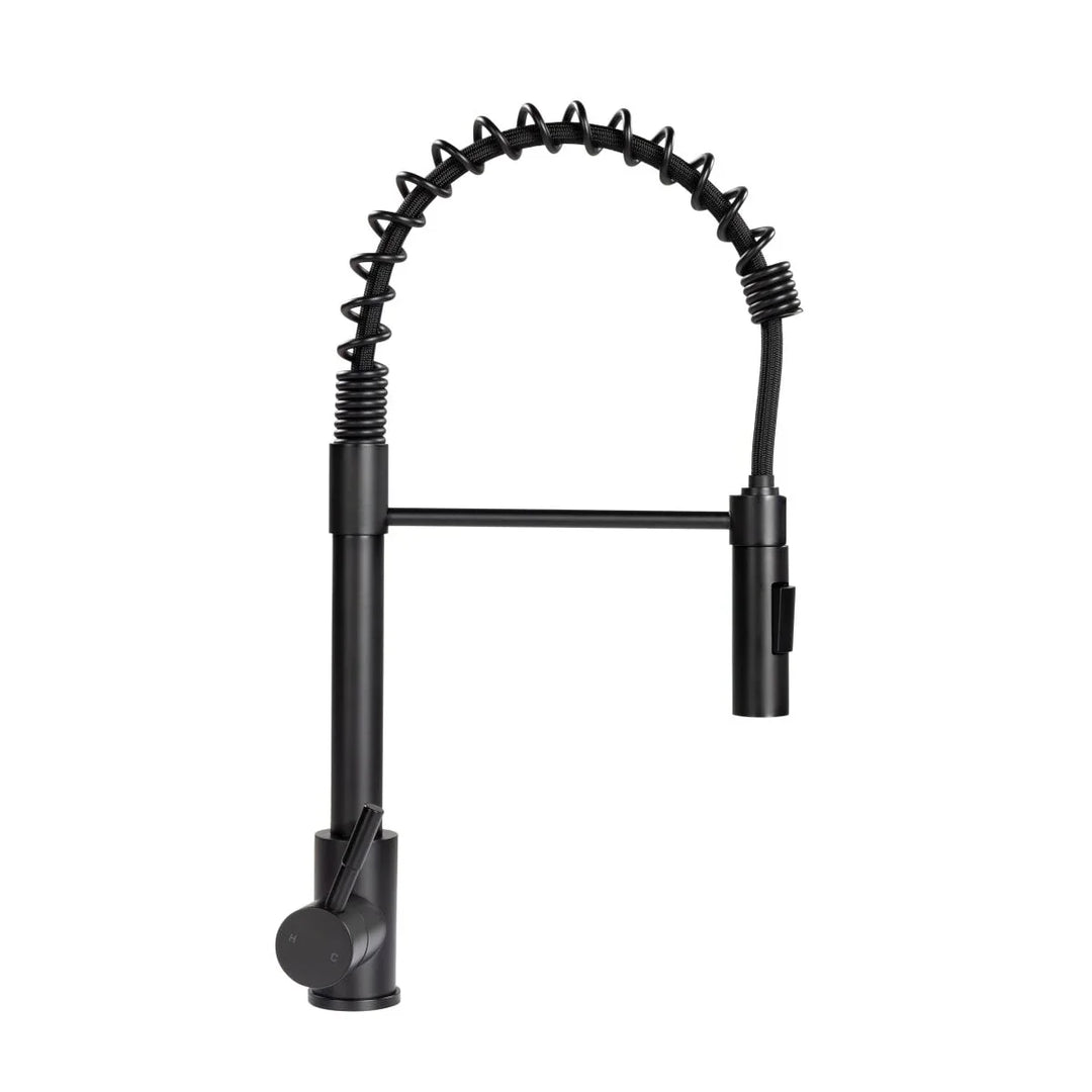 Lippert Flow Max Coiled Kitchen Faucet – Shop Forest River