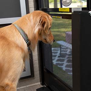 Screen Defender RV Entry Door Screen Protector – Shop Forest River